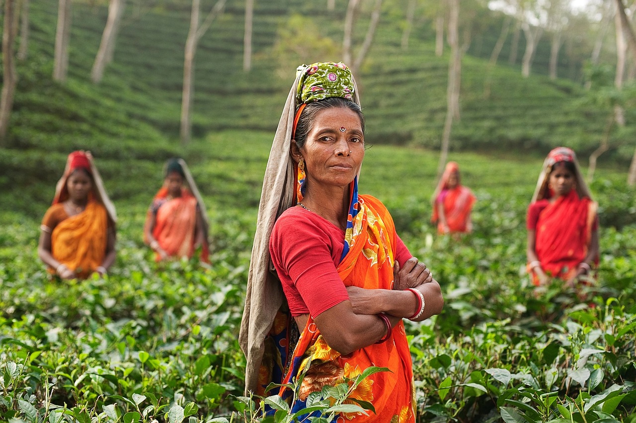 person, woman, india